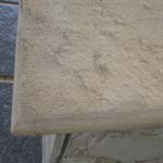 Pool Coping (Bullnose) Mint Bullnose two side Supplier,Exporter,India